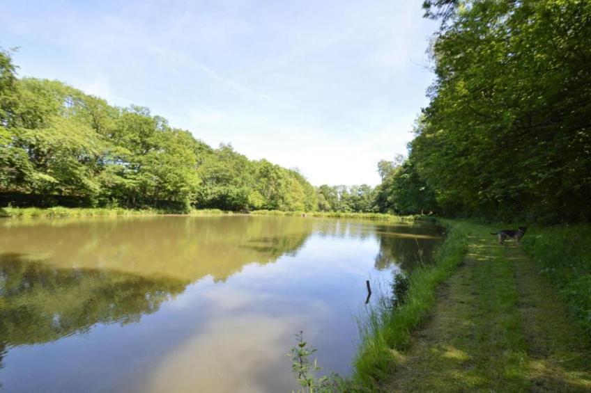 Le Bateau du Lac Privé - foto 33