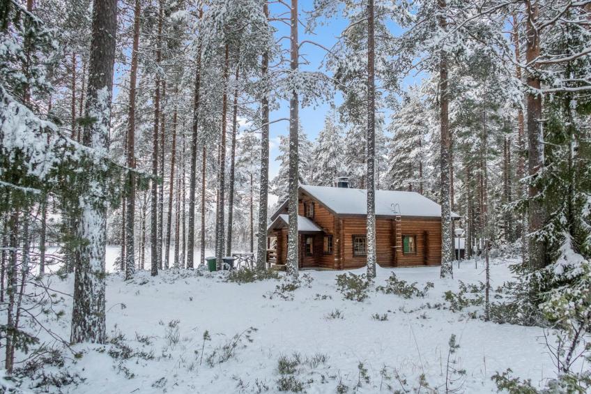 Välikosken karpalo - foto 38