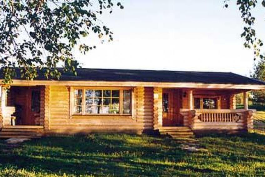 Koivuniemi - foto 20