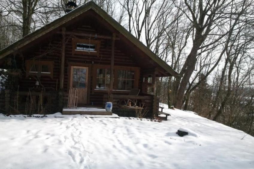 Finnisches Holzhaus - foto 36