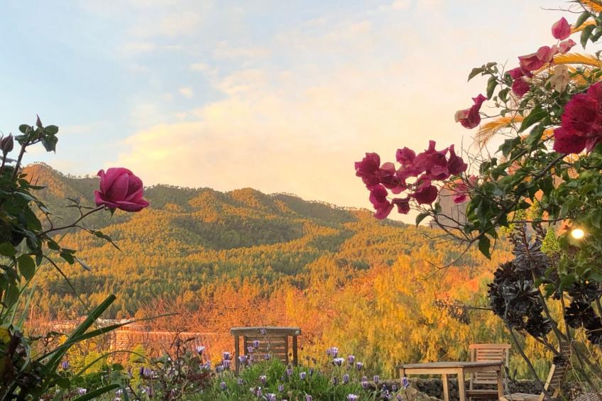 Las Tortugas - foto 4