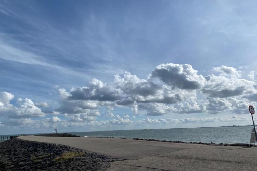 De Meerkoet - foto 36