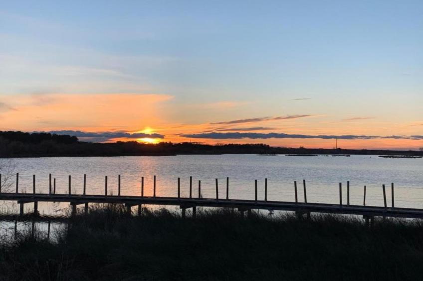 Résidence le Mas des Flamants - foto 30