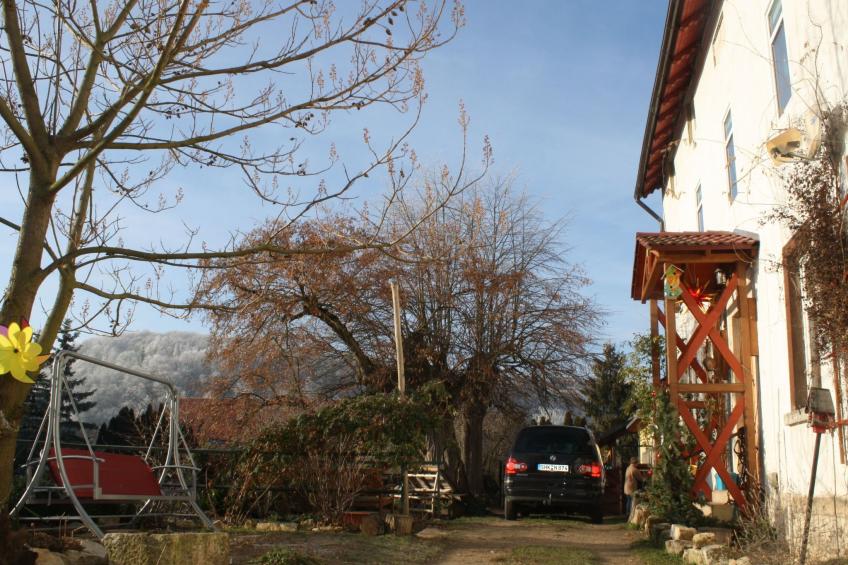 Kleine Fewo - foto 6