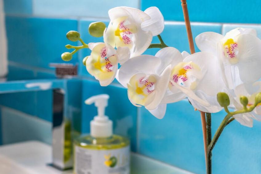 Conero Bluloft - foto 9