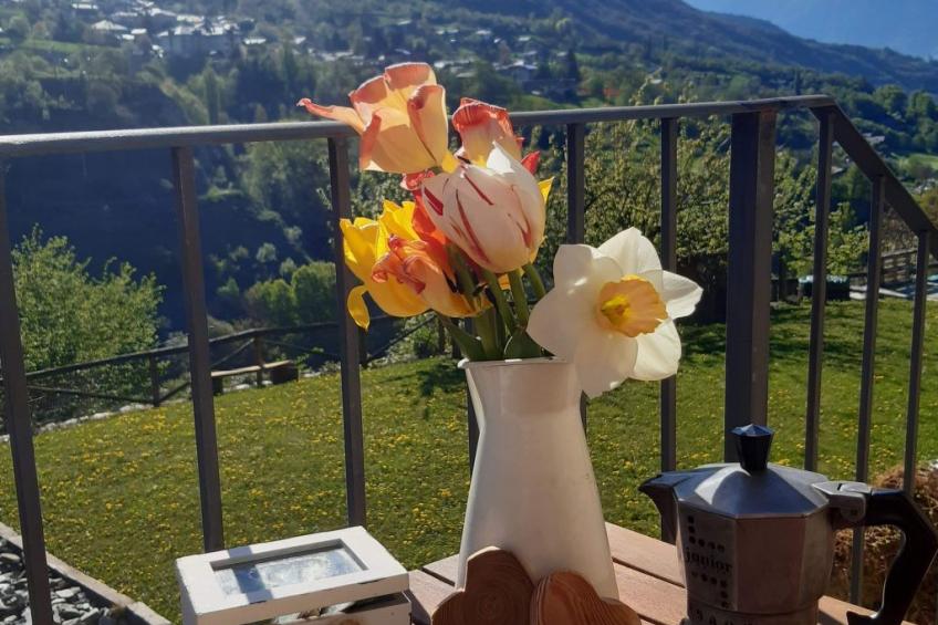 Einzimmerwohnung Die Katze in Gignod - foto 7