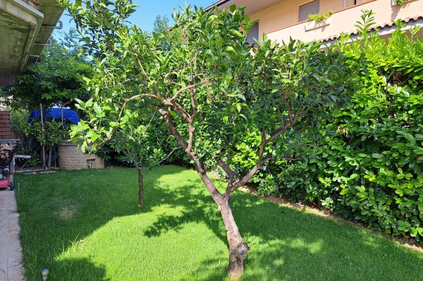 "Daphne Experience". - foto 12