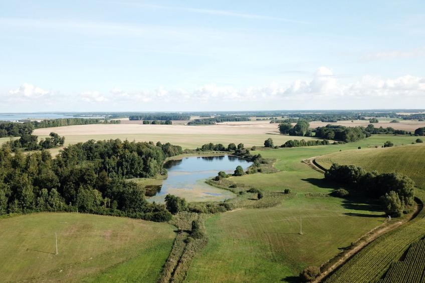 Haus-Zauberblau - foto 36