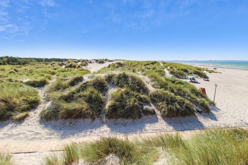 "Merina" - 700m from the sea in Sealand - foto 5