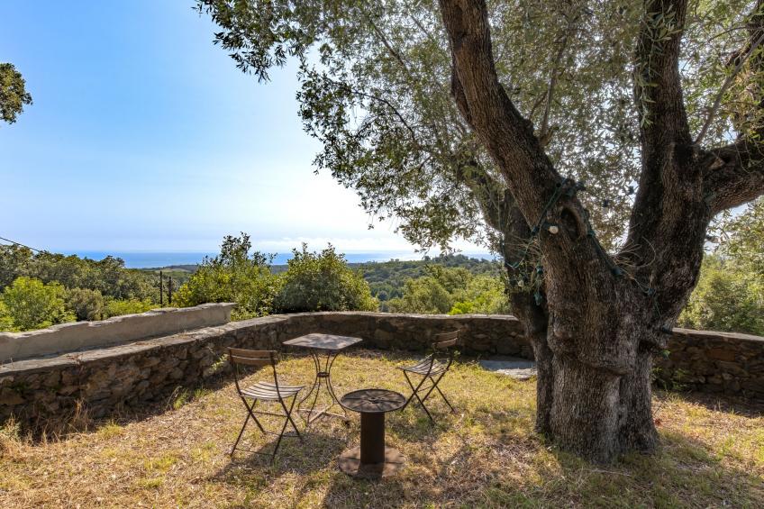 Formicaccia - foto 2