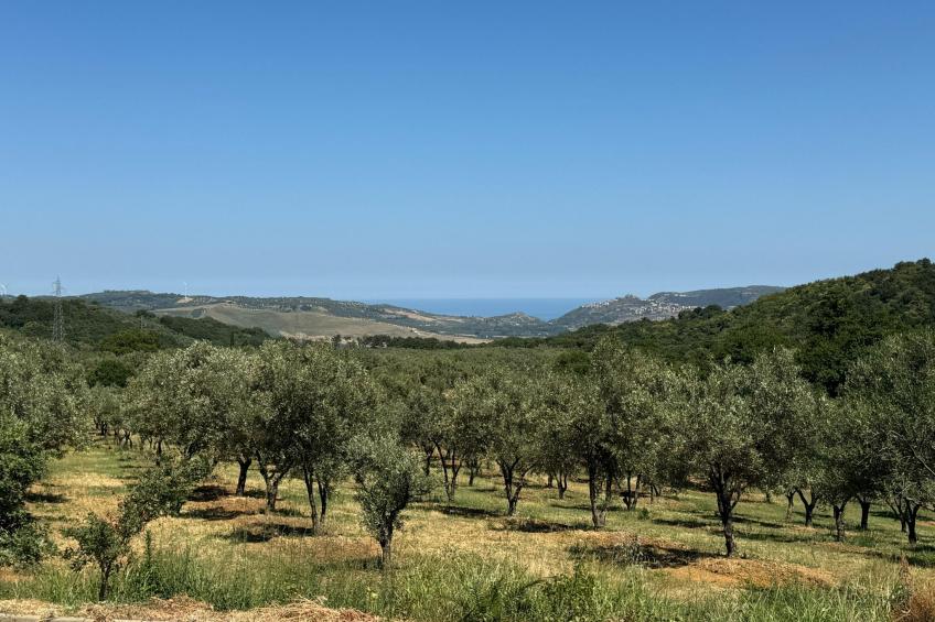 Landgut mit Blick auf das Wasser - foto 50