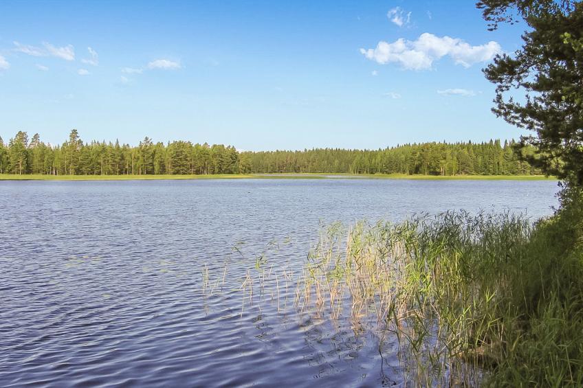 Kanervakallio - foto 27