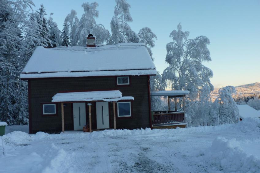 Ferientagheim Hammarstrand - foto 19