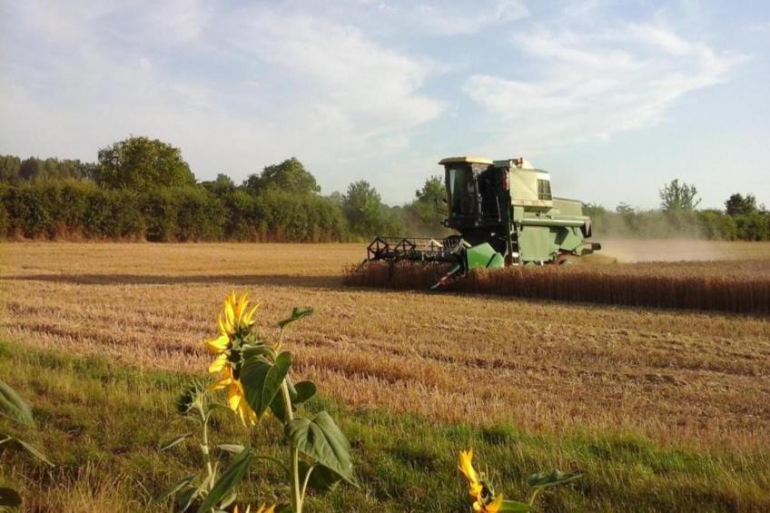 Maison de vacances - CHILLEURS-AUX-BOIS - foto 35