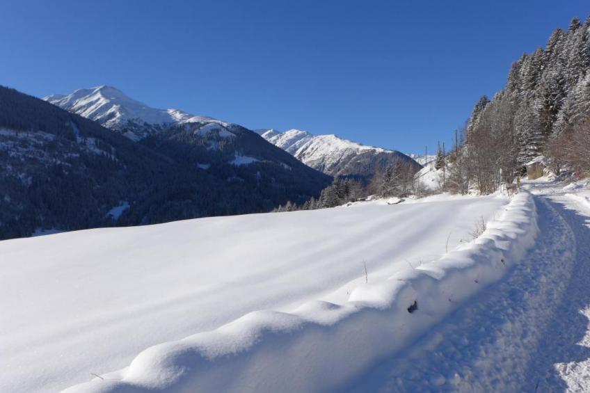 Chalet 'Casa Muraun' mit Bergblick - foto 23