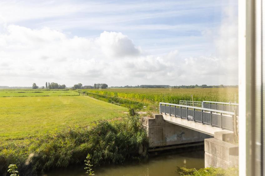 Groep in Friesland - foto 5