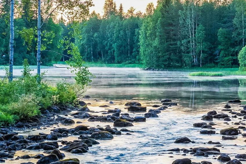 Niemenkärki, vaikon loma ja lohi - foto 5