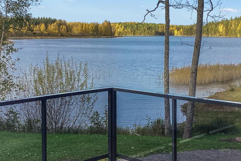 Käkikello - foto 3
