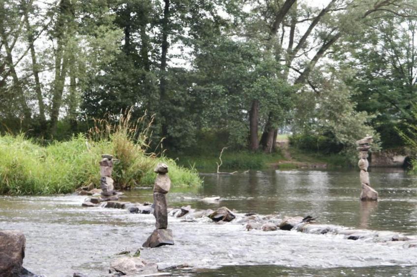 Am Ferienhof - foto 16