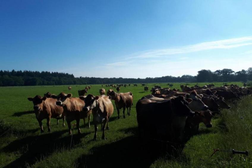 Buitenplaats Gerner 7 - foto 18