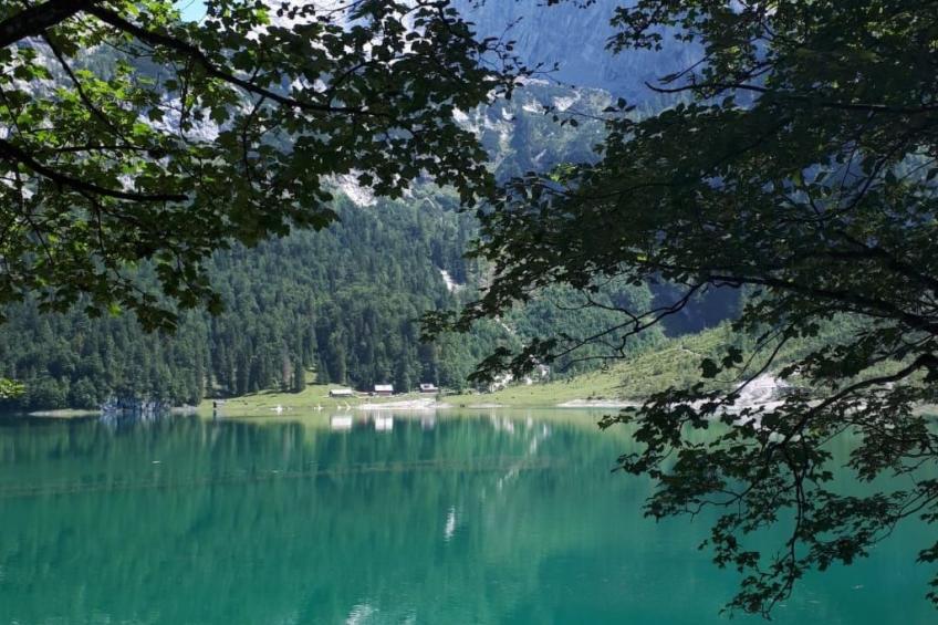 Deluxapartment Simon - foto 40