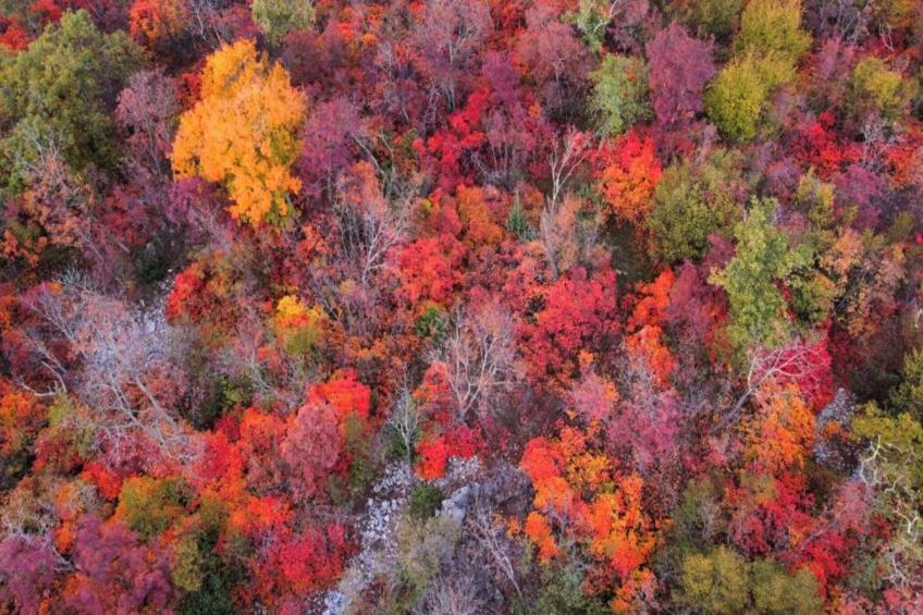 Les Balcons d'Auréa - foto 26