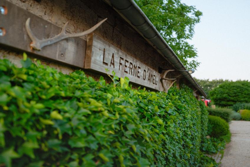 La Ferme des Prés - foto 35