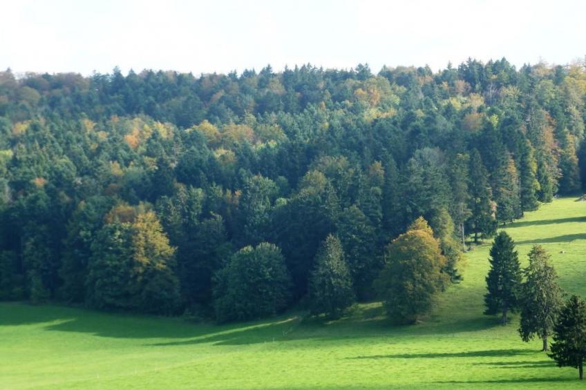 Chalet Désir, Lajoux - foto 24