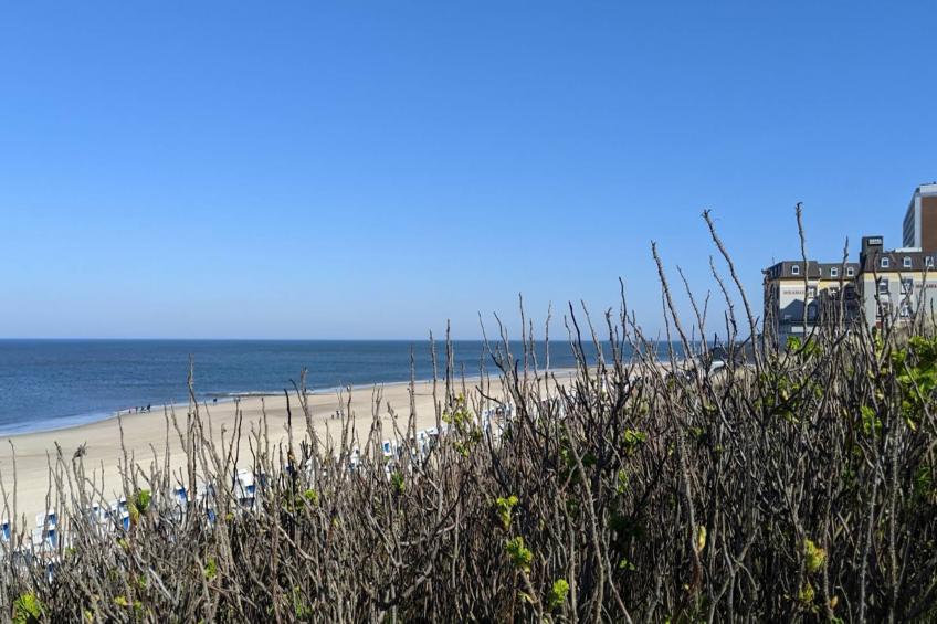 Holiday flat, Zingst|Düne 2.2 - foto 9