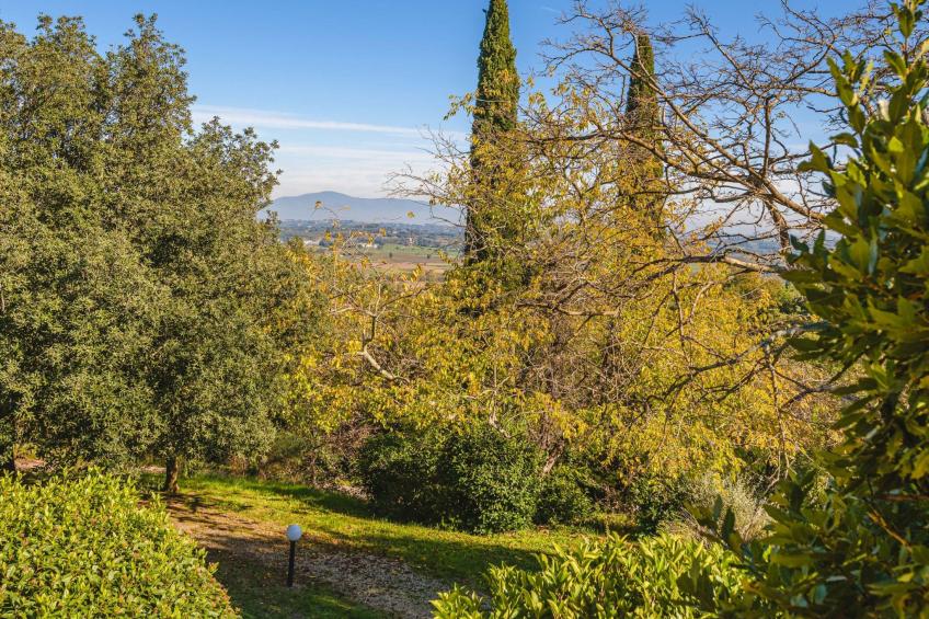 Podere Mencoini Elegante Villa mit Pool und Olivenbäumen - foto 38