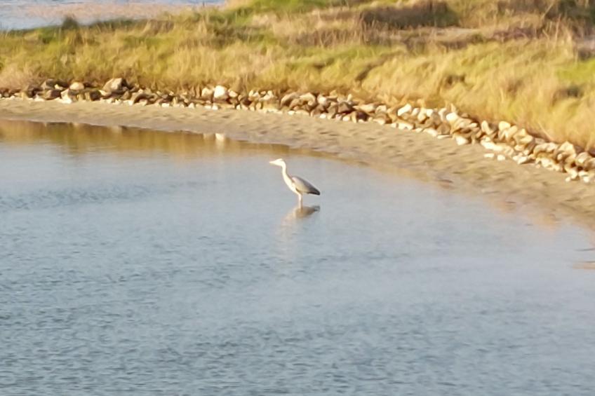 Tranquille en bord de Mer - foto 42