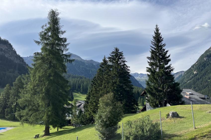 Albula B Chasa Nana, (Bergün/Bravuogn), 232 - foto 40