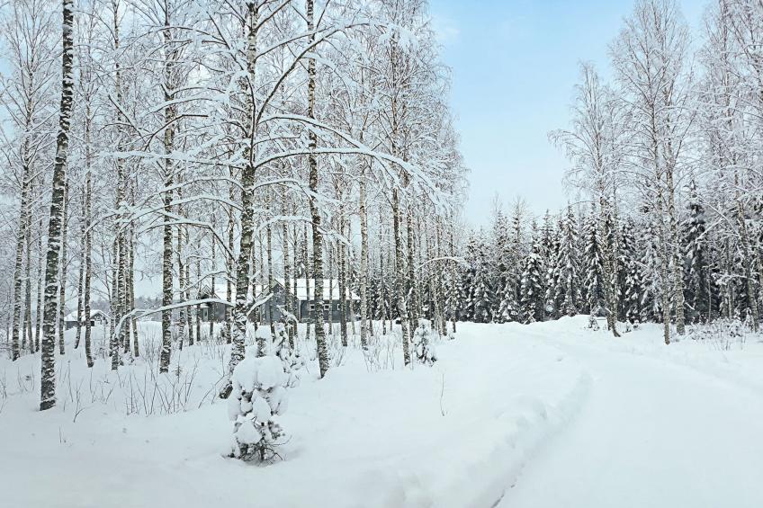 Paasirinne a - foto 28