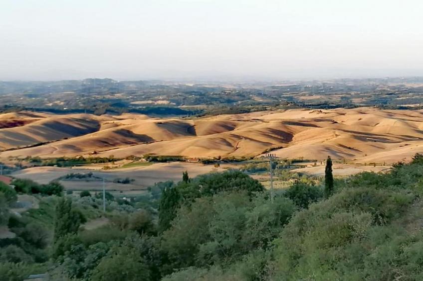 La Casa dei Nonni - foto 40