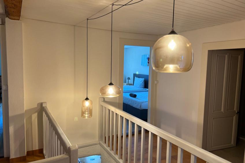 Vigneronne, Vigne - foto 5