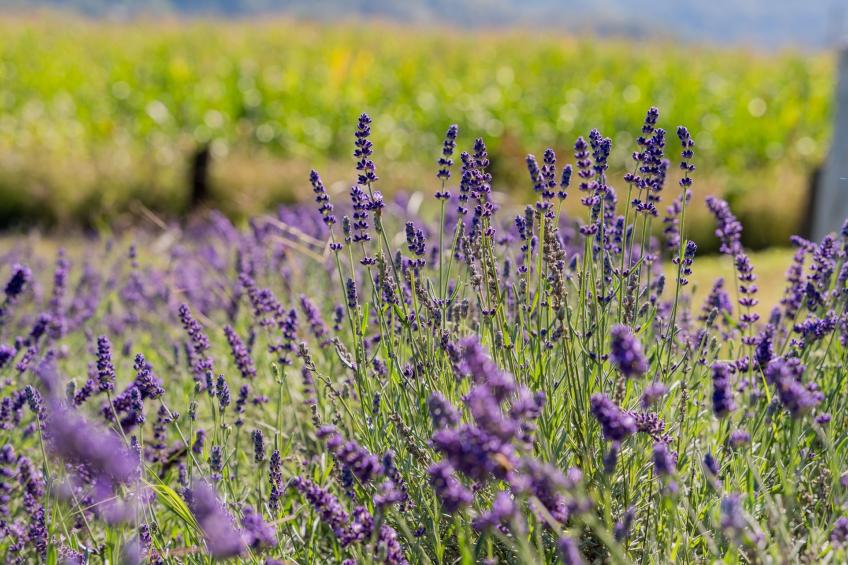 Holiday house Val - foto 38