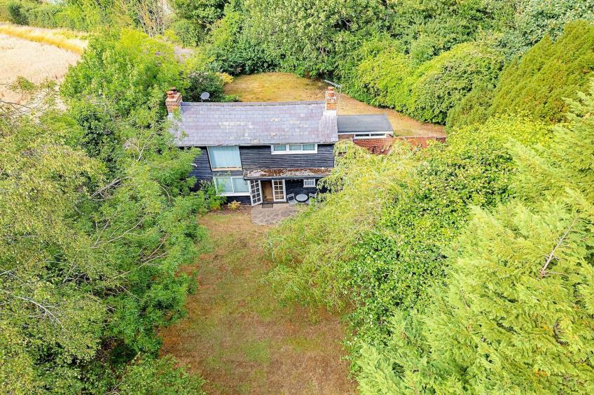 Hollybush Studio - foto 25