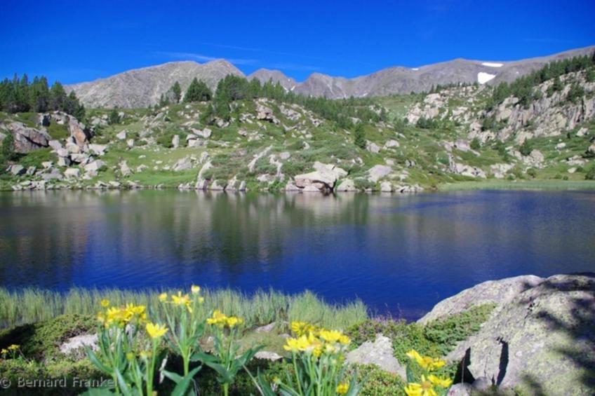 Résidence Goélia Le Domaine de Castella - foto 11