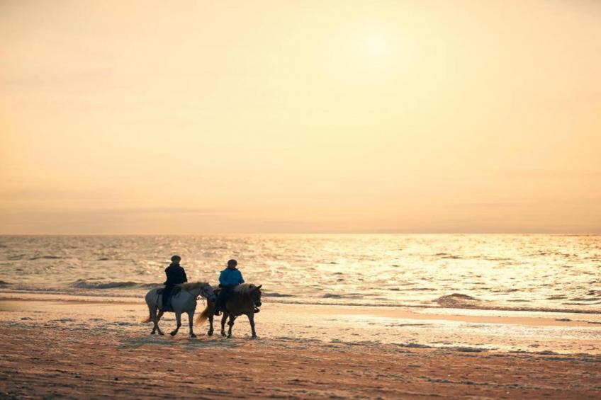 Jan van Renesseweg 1 - 2 pers - foto 39
