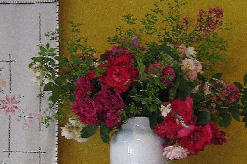 Bévau: Frankreich erleben mit Bio-Frühstück und täglichem Putz-Service - foto 10