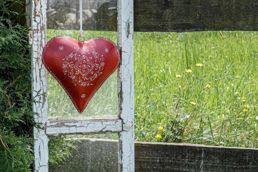 Fewo. Liebelt - foto 24