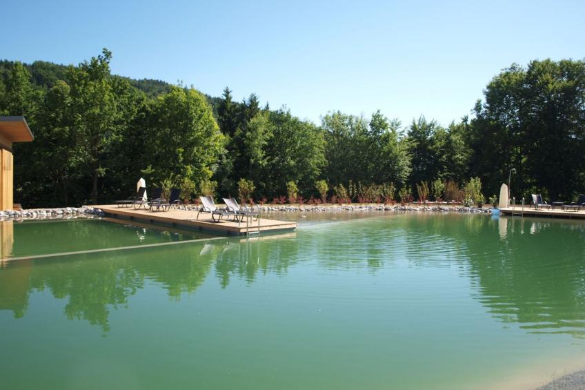 Erle in Feistritz im Rosental - foto 5