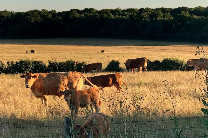 Landhaus mit eingezäuntem Garten - foto 21