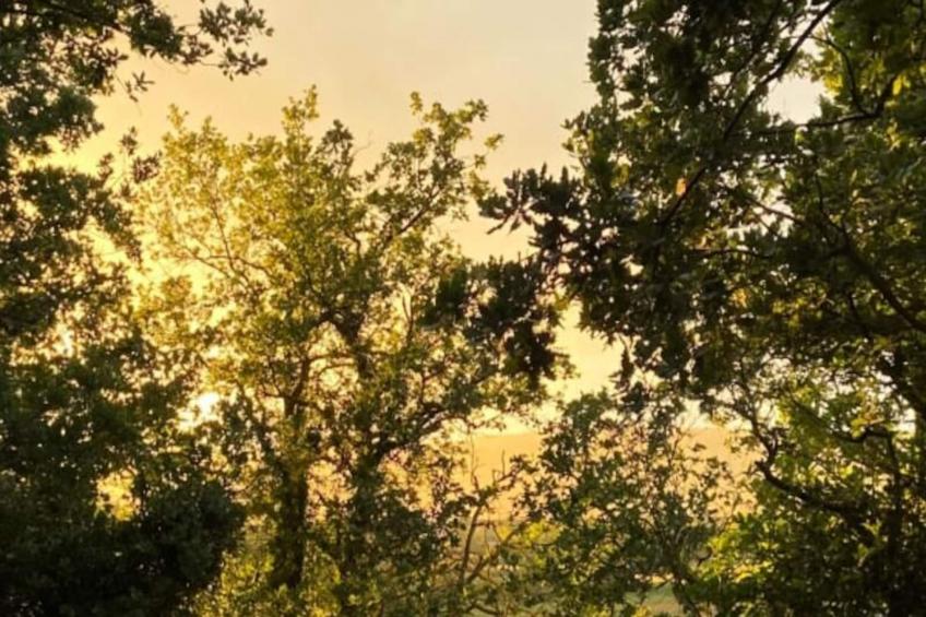 Cabane D’ismou | Piscine & Design Bois - foto 23