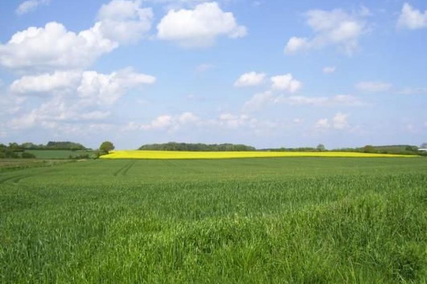 in Steinberg - foto 16