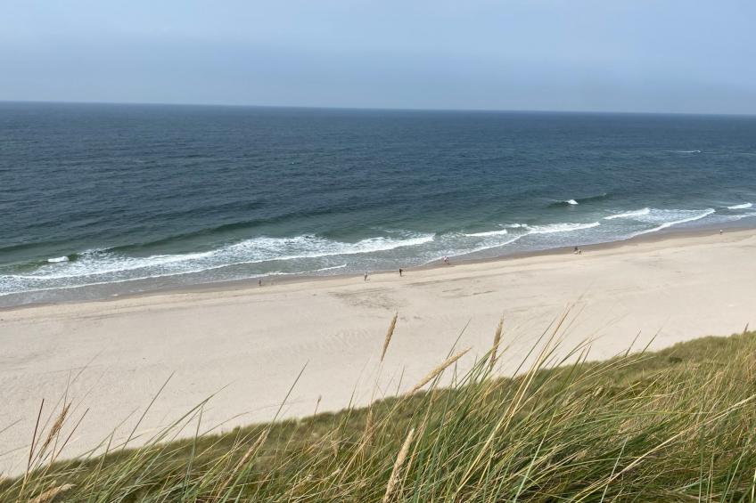 Kliff in Kampen auf Sylt - foto 26