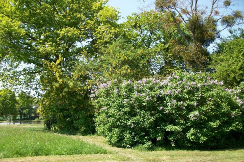 La Juquaise - foto 32