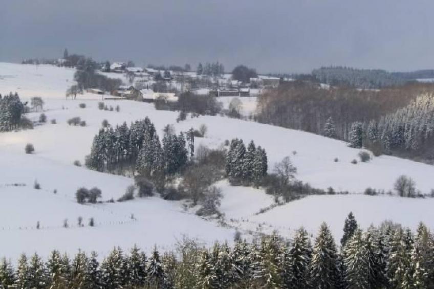 Snowview Lodge - foto 44