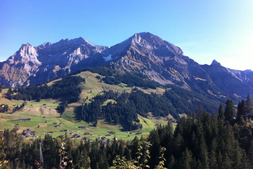 Krebs - foto 6