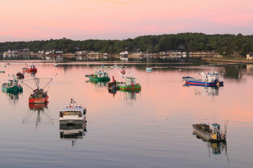 Kervourden - foto 44